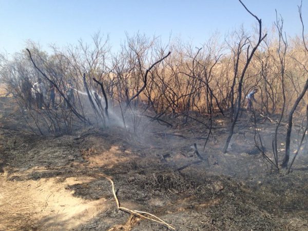 بیش از یک هکتار از مراتع رودخانه فصلی فهرج در آتش سوخت