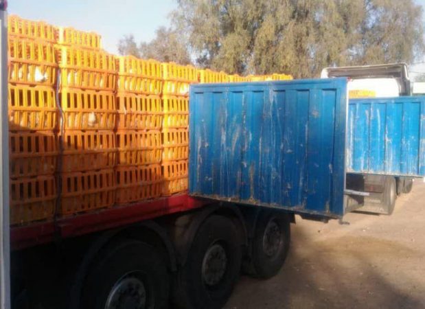 توقیف ۳ محموله مرغ زنده قاچاق در فهرج