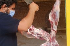 ذبح دام و توزیع نذر قربانی بین مددجویان کمیته امداد امام خمینی (ره) فهرج + تصاویر