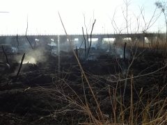 ۲ هکتار از مراتع رودخانه فصلی فهرج در آتش سوخت