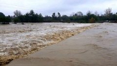 از چرای دام ها در مناطق مستعد سیل اجتناب کنید