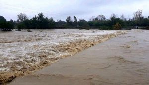 از چرای دام ها در مناطق مستعد سیل اجتناب کنید