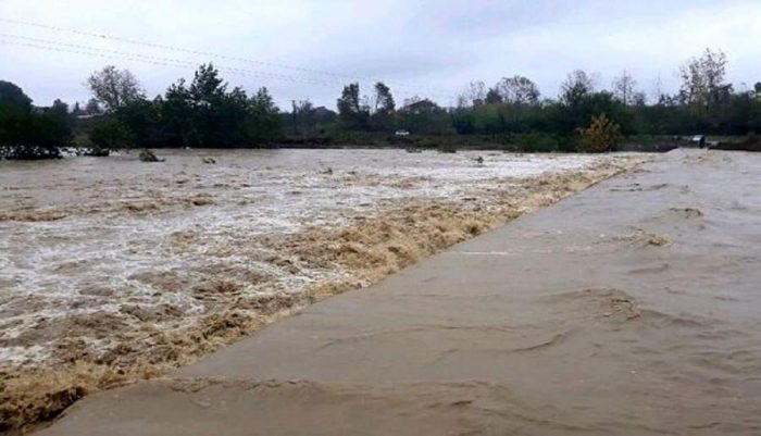 از چرای دام ها در مناطق مستعد سیل اجتناب کنید