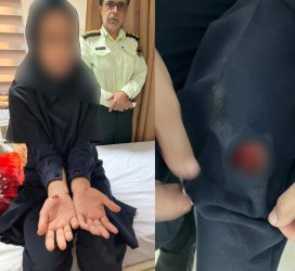 نجات یک خانم از چنگ سگ های ولگرد توسط مأمور پلیس در فهرج