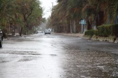 بارش باران بهاری در فهرج