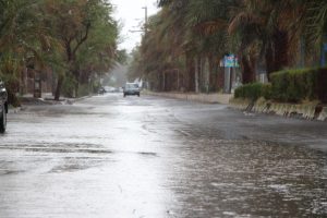 بارش باران بهاری در فهرج