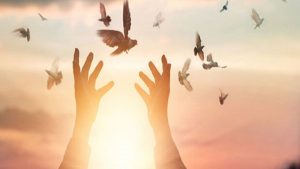 به عشق حاج قاسم، ۳ زندانی آزاد شدند