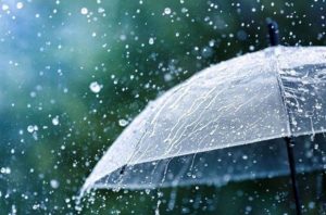 باران همچنان مهمان کویر کرمان است