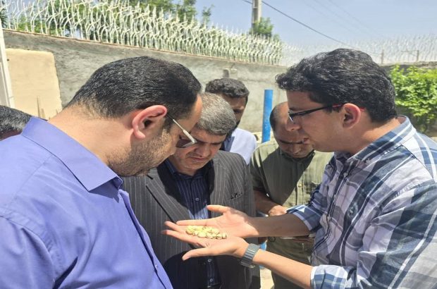 سارقان پسته در لباس مامور فراجا ظاهر شدند