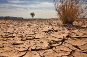 بیابان‌زایی در استان کرمان خیلی بیشتر از بیابان‌زدایی است