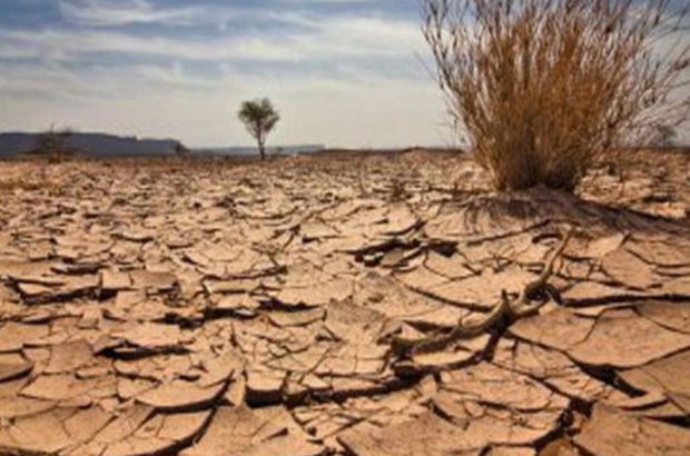 بیابان‌زایی در استان کرمان خیلی بیشتر از بیابان‌زدایی است