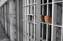 کمک محسن چاووشی برای آزادی ۲۰ زندانی جرایم غیرعمد کرمان