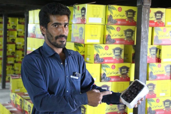 افتتاح فاز اول طرح درجه بندی ، بسته بندی و نگهداری خرما در بخش نگین کویر