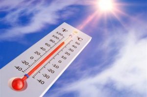 خیزش گرد و خاک از روز دوشنبه در استان کرمان