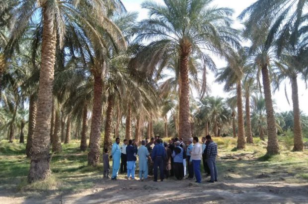 محدوده‌های وقفی در رحمت‌آباد ریگان بررسی می‌شود