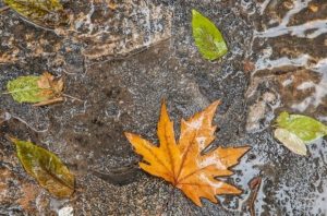 فعالیت سامانه جدید بارشی در استان کرمان