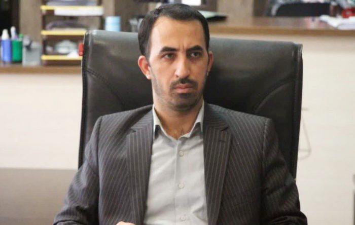 سگ های ولگرد را ساماندهی کنید