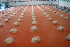 توزیع ۵۰۰ بسته معیشتی سپاه بین دو نیازمندان