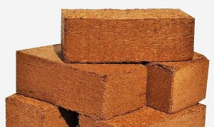 نخلستان‌ فرصتی ثروت‌ساز