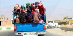 حمل مسافر در قسمت بار وانت‌ها تخلف است