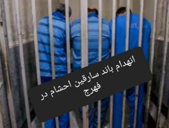 انهدام باند سارقین احشام در فهرج
