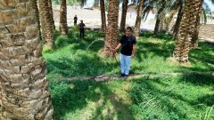 وعده آبفا برای رفع مشکل آب فهرج