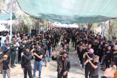 طنین شور حسینی در دیار دارالوحدت فهرج