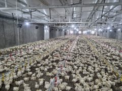 هر واحد تولیدی یک سنگر در نبرد اقتصادی است
