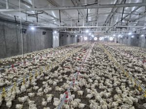هر واحد تولیدی یک سنگر در نبرد اقتصادی است
