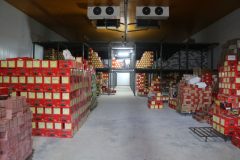 افتتاح یک واحد سردخانه نگهداری خرما در روستای رکن‌آباد فهرج